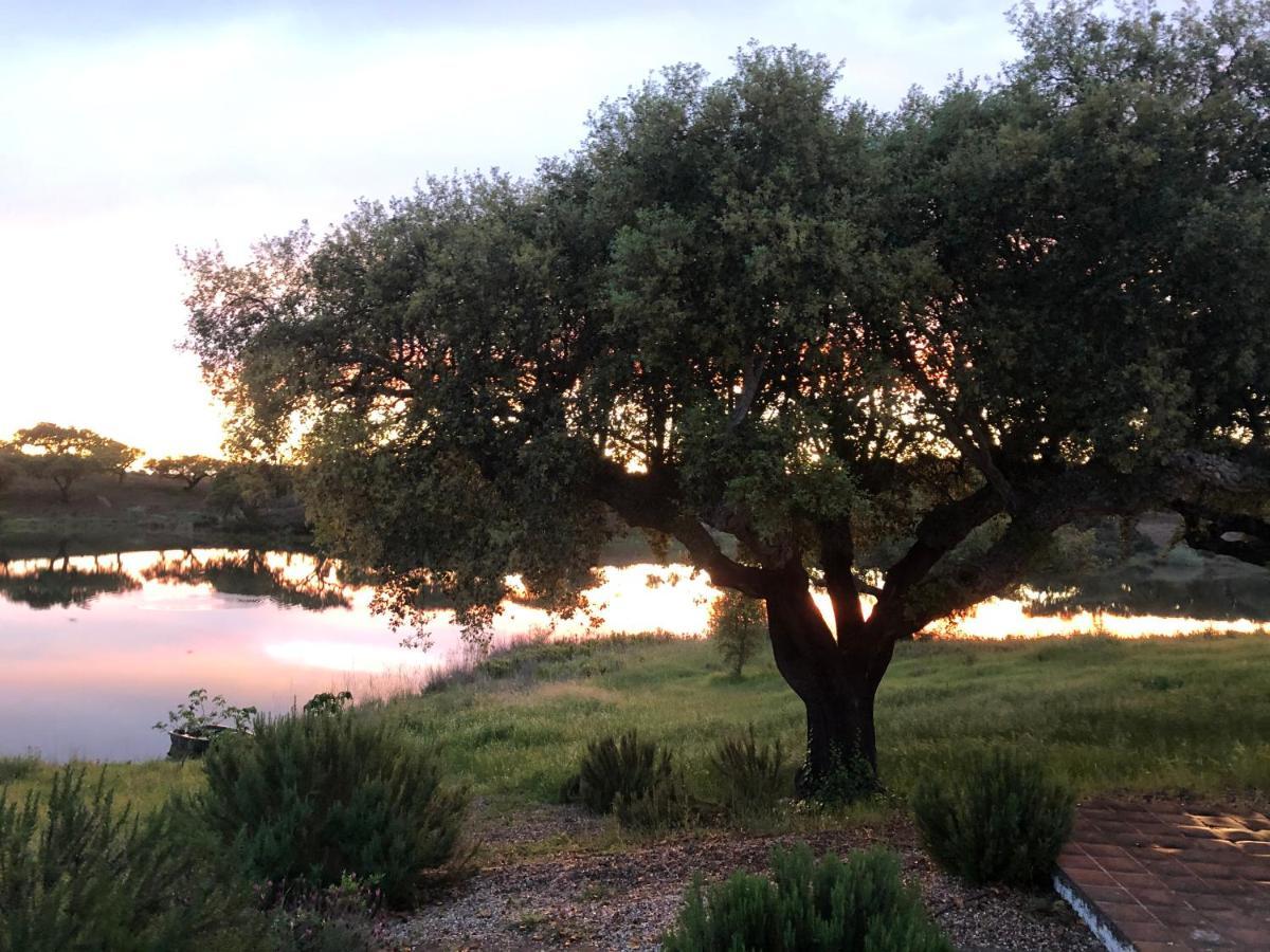 Fontes - A Essencia Do Alentejo Com Lago Privado Redondo Exteriér fotografie