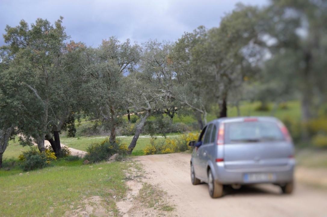 Fontes - A Essencia Do Alentejo Com Lago Privado Redondo Exteriér fotografie